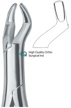 Molars and third molars 10S