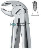 Lower Molars ,Universal 22