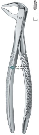 Tooth Ext Forceps