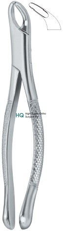 Cryer Bicuspids , Incisors and Roots 151