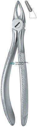 Incisors and Roots 30S