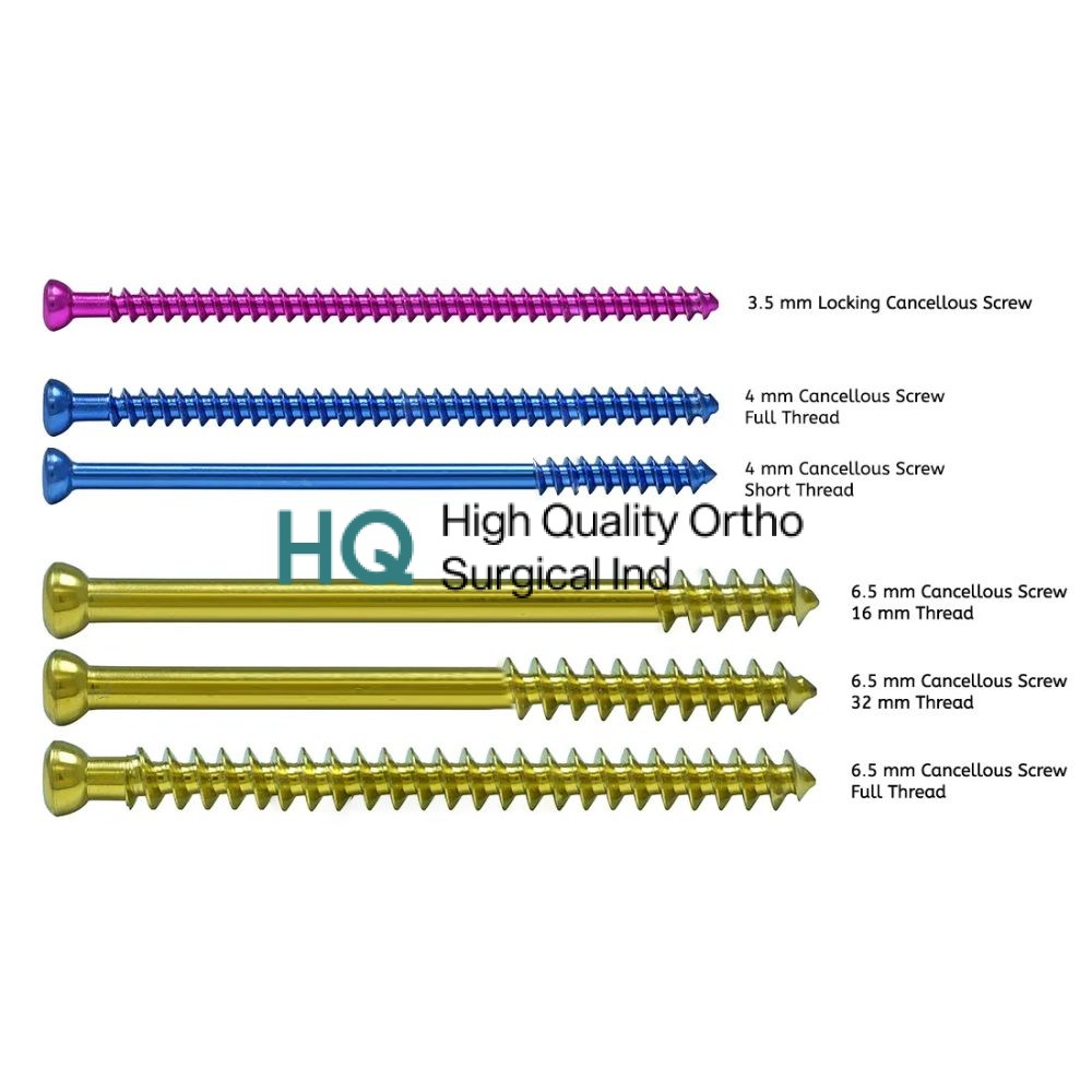 Cancellous Screw Specification